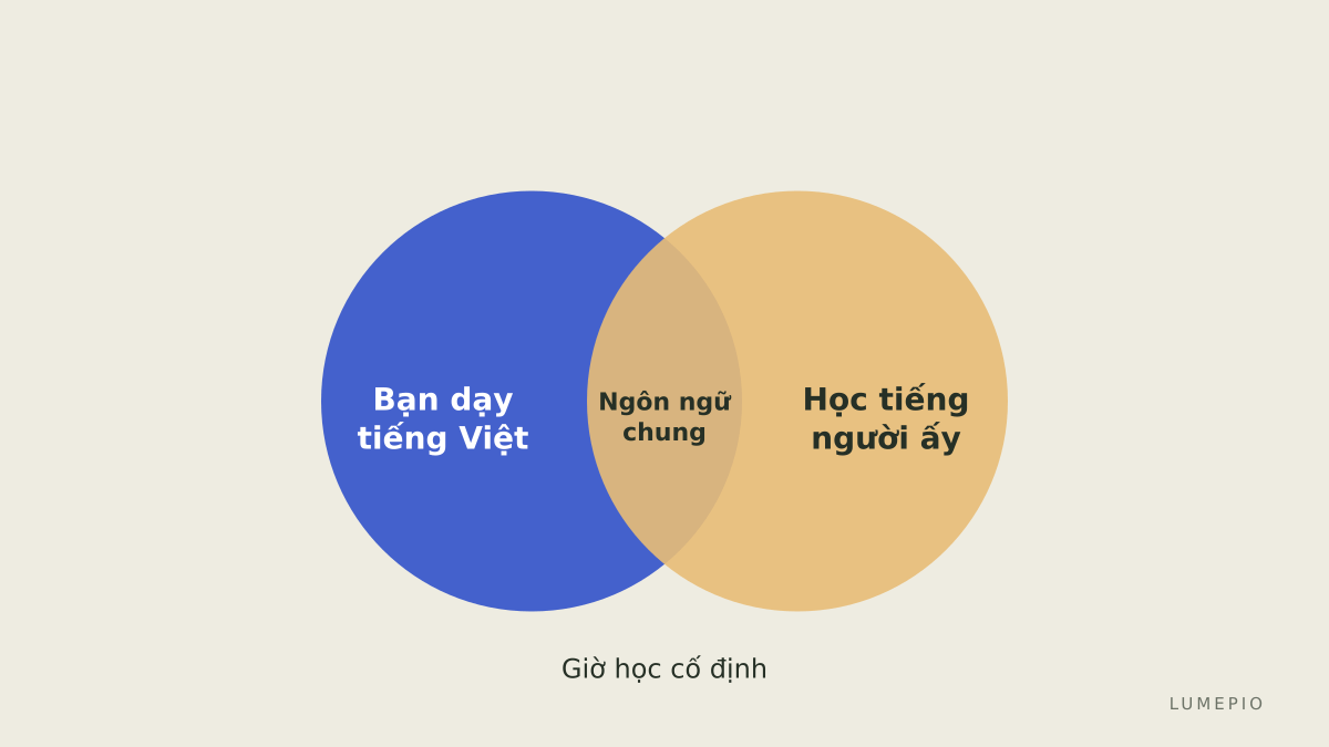 Hai ngôn ngữ, hai vai trò