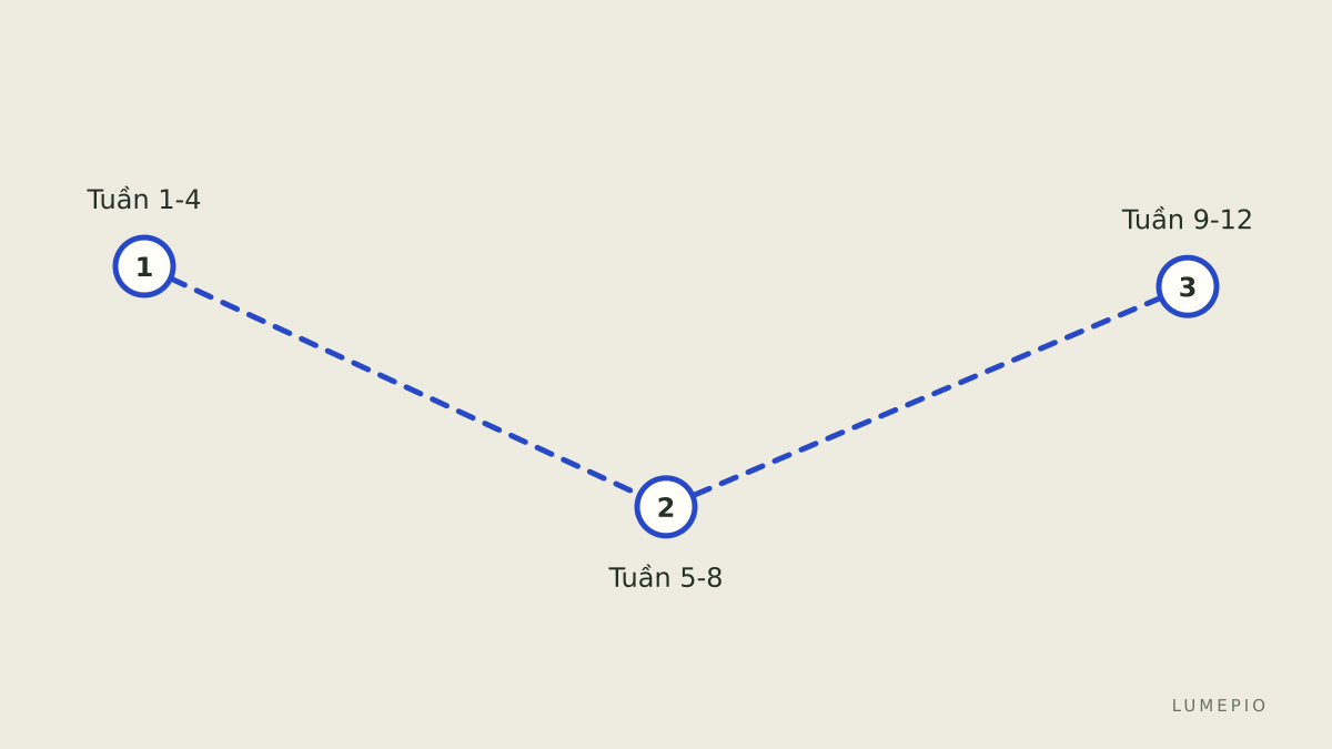 Lộ trình học 12 tuần