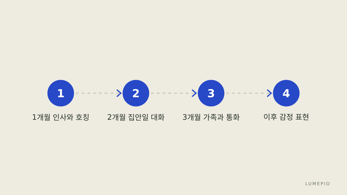 첫 3개월 학습 흐름
